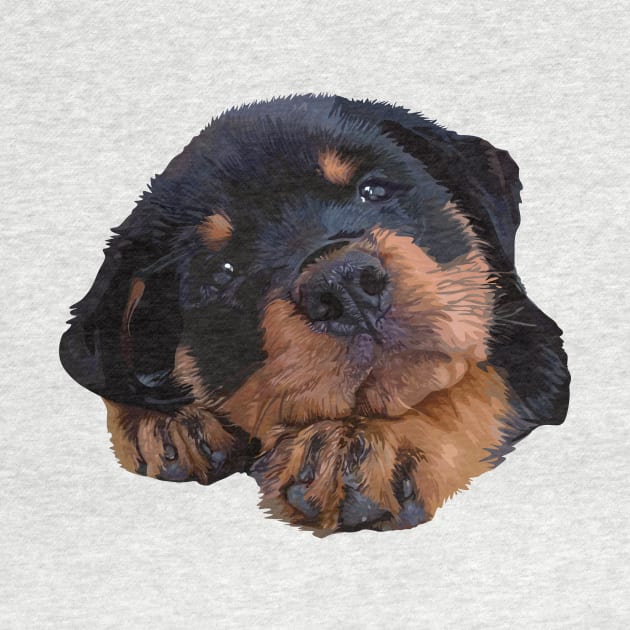 Cute Rottweiler Puppy by thedailysoe